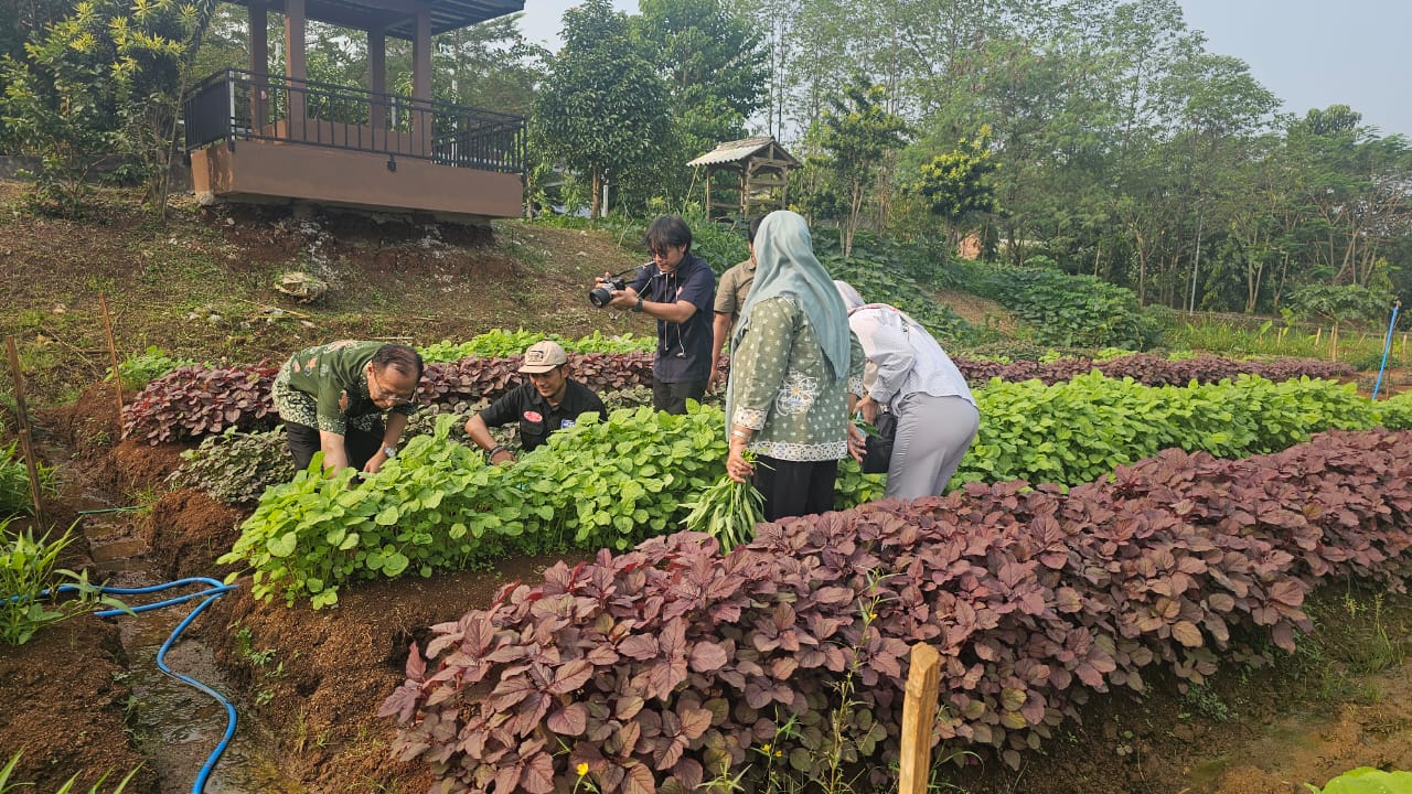 Kegiatan civitas akademika di kebun produktif Universitas Gunadarma