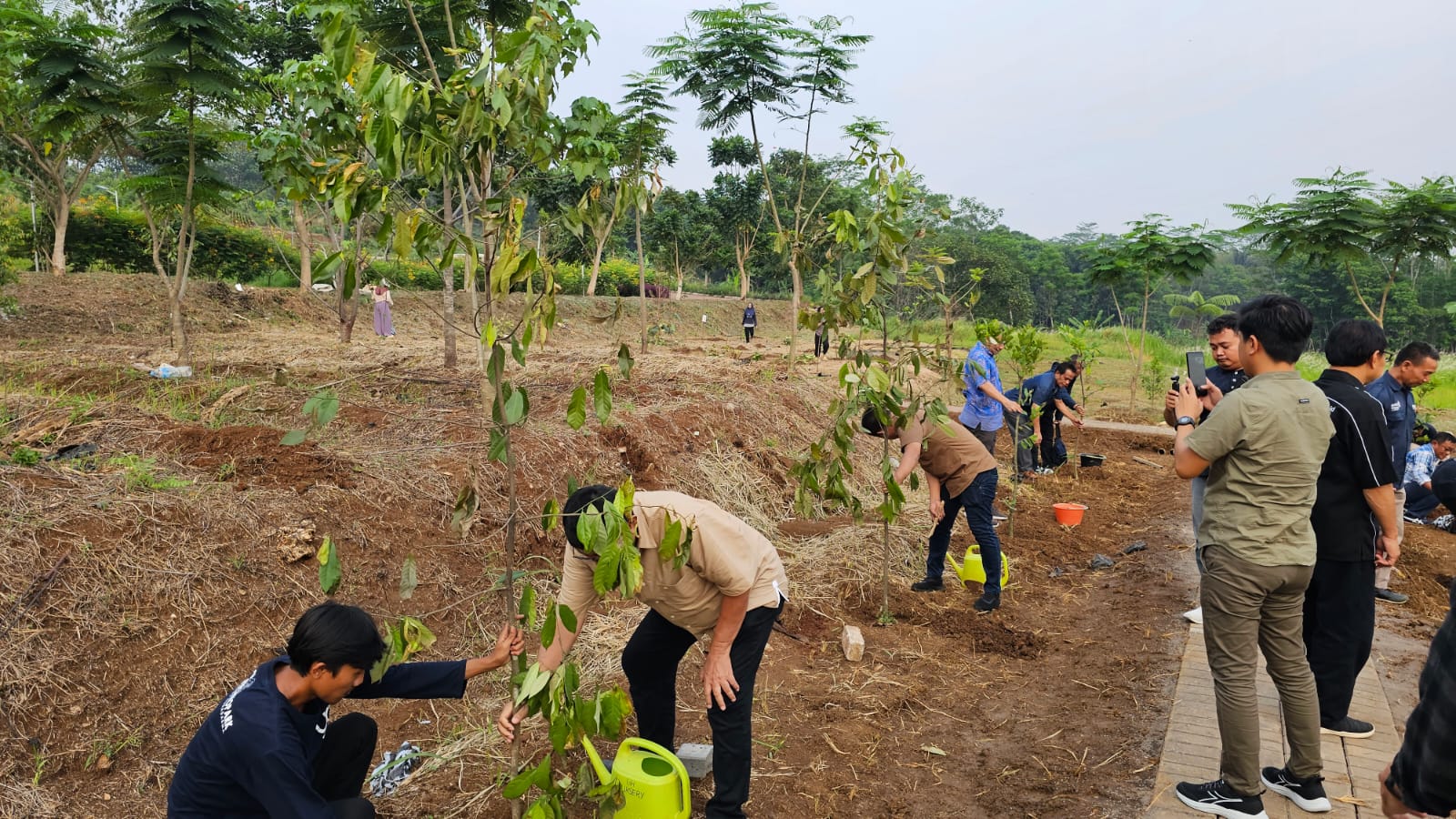 Kegiatan penanaman pohon Universitas Gunadarma